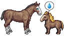 horse-comparison_orig.png